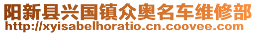 陽(yáng)新縣興國(guó)鎮(zhèn)眾奧名車維修部