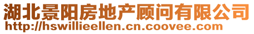 湖北景陽(yáng)房地產(chǎn)顧問(wèn)有限公司