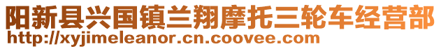 陽新縣興國鎮(zhèn)蘭翔摩托三輪車經(jīng)營部