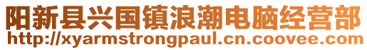 陽新縣興國鎮浪潮電腦經營部