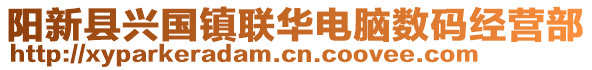 陽新縣興國鎮(zhèn)聯(lián)華電腦數(shù)碼經(jīng)營部