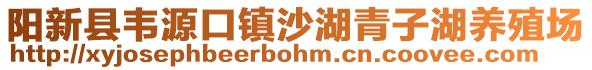 陽新縣韋源口鎮沙湖青子湖養殖場