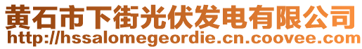 黃石市下街光伏發(fā)電有限公司