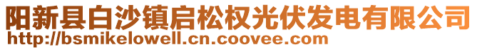 陽新縣白沙鎮(zhèn)啟松權(quán)光伏發(fā)電有限公司