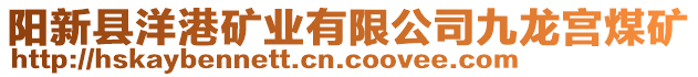 陽新縣洋港礦業(yè)有限公司九龍宮煤礦