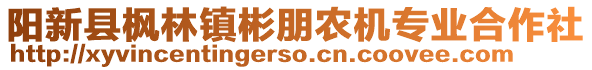 陽新縣楓林鎮(zhèn)彬朋農(nóng)機(jī)專業(yè)合作社