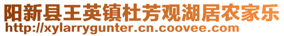 陽新縣王英鎮(zhèn)杜芳觀湖居農(nóng)家樂