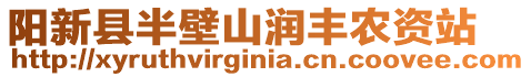 陽新縣半壁山潤(rùn)豐農(nóng)資站