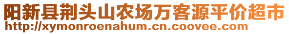 陽新縣荊頭山農(nóng)場萬客源平價超市