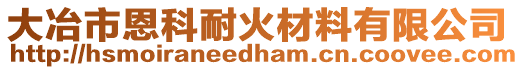 大冶市恩科耐火材料有限公司