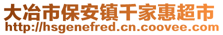 大冶市保安鎮(zhèn)千家惠超市