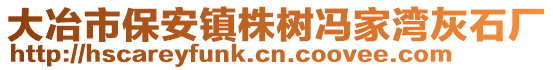 大冶市保安鎮(zhèn)株樹馮家灣灰石廠