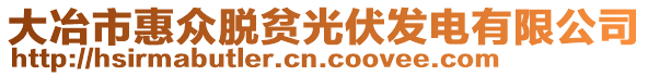 大冶市惠眾脫貧光伏發(fā)電有限公司