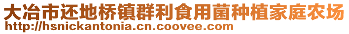 大冶市還地橋鎮群利食用菌種植家庭農場