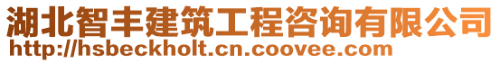 湖北智豐建筑工程咨詢有限公司