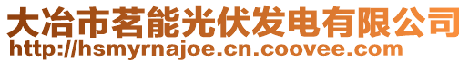 大冶市茗能光伏發(fā)電有限公司