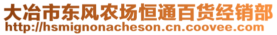 大冶市東風(fēng)農(nóng)場(chǎng)恒通百貨經(jīng)銷部