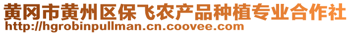 黃岡市黃州區(qū)保飛農(nóng)產(chǎn)品種植專業(yè)合作社