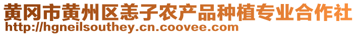 黃岡市黃州區(qū)恙子農(nóng)產(chǎn)品種植專業(yè)合作社