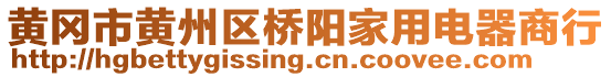 黃岡市黃州區(qū)橋陽家用電器商行