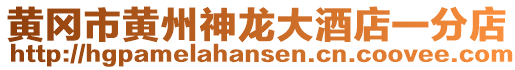 黃岡市黃州神龍大酒店一分店