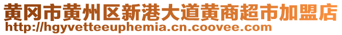 黃岡市黃州區(qū)新港大道黃商超市加盟店