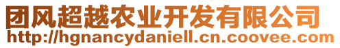 團(tuán)風(fēng)超越農(nóng)業(yè)開(kāi)發(fā)有限公司