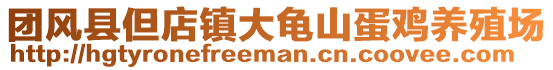 團風(fēng)縣但店鎮(zhèn)大龜山蛋雞養(yǎng)殖場