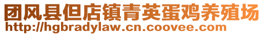 團(tuán)風(fēng)縣但店鎮(zhèn)青英蛋雞養(yǎng)殖場(chǎng)