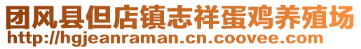 團(tuán)風(fēng)縣但店鎮(zhèn)志祥蛋雞養(yǎng)殖場(chǎng)