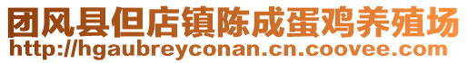 團(tuán)風(fēng)縣但店鎮(zhèn)陳成蛋雞養(yǎng)殖場(chǎng)