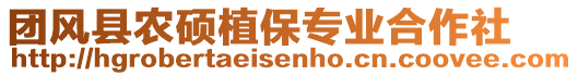 團(tuán)風(fēng)縣農(nóng)碩植保專業(yè)合作社