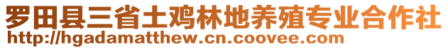 羅田縣三省土雞林地養(yǎng)殖專業(yè)合作社