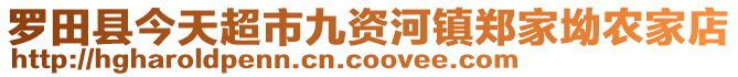 羅田縣今天超市九資河鎮(zhèn)鄭家坳農(nóng)家店