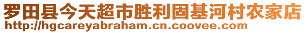 羅田縣今天超市勝利固基河村農(nóng)家店