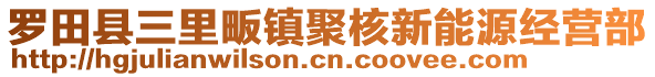 羅田縣三里畈鎮(zhèn)聚核新能源經(jīng)營(yíng)部