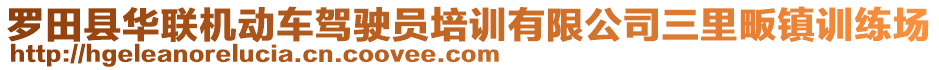 羅田縣華聯(lián)機動車駕駛員培訓(xùn)有限公司三里畈鎮(zhèn)訓(xùn)練場