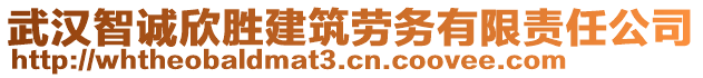 武漢智誠欣勝建筑勞務(wù)有限責(zé)任公司