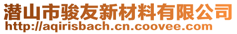 潛山市駿友新材料有限公司