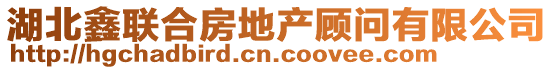 湖北鑫聯(lián)合房地產(chǎn)顧問有限公司