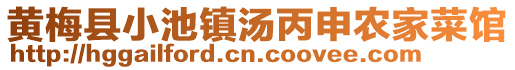 黃梅縣小池鎮(zhèn)湯丙申農(nóng)家菜館