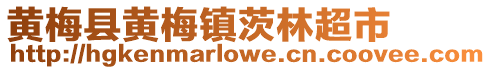黃梅縣黃梅鎮茨林超市
