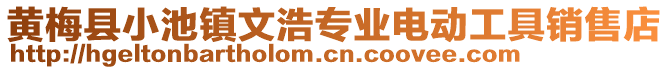 黃梅縣小池鎮(zhèn)文浩專業(yè)電動工具銷售店