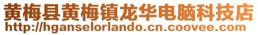 黃梅縣黃梅鎮(zhèn)龍華電腦科技店