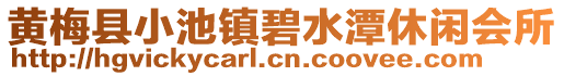 黃梅縣小池鎮碧水潭休閑會所