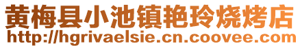 黃梅縣小池鎮(zhèn)艷玲燒烤店