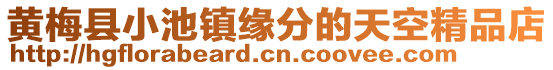 黃梅縣小池鎮緣分的天空精品店