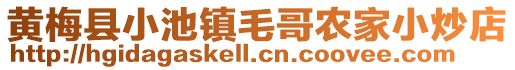 黃梅縣小池鎮毛哥農家小炒店