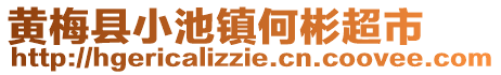 黃梅縣小池鎮何彬超市