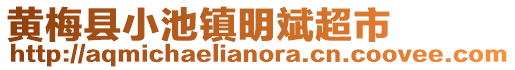 黃梅縣小池鎮(zhèn)明斌超市